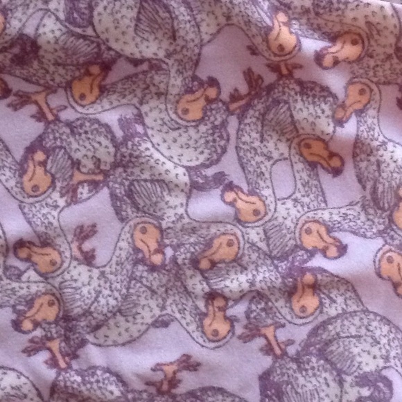 Dodo bird lularoe leggings one size - Picture 2 of 2